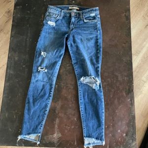 Joe’s Jeans The Blondie mid rise skinny ankle